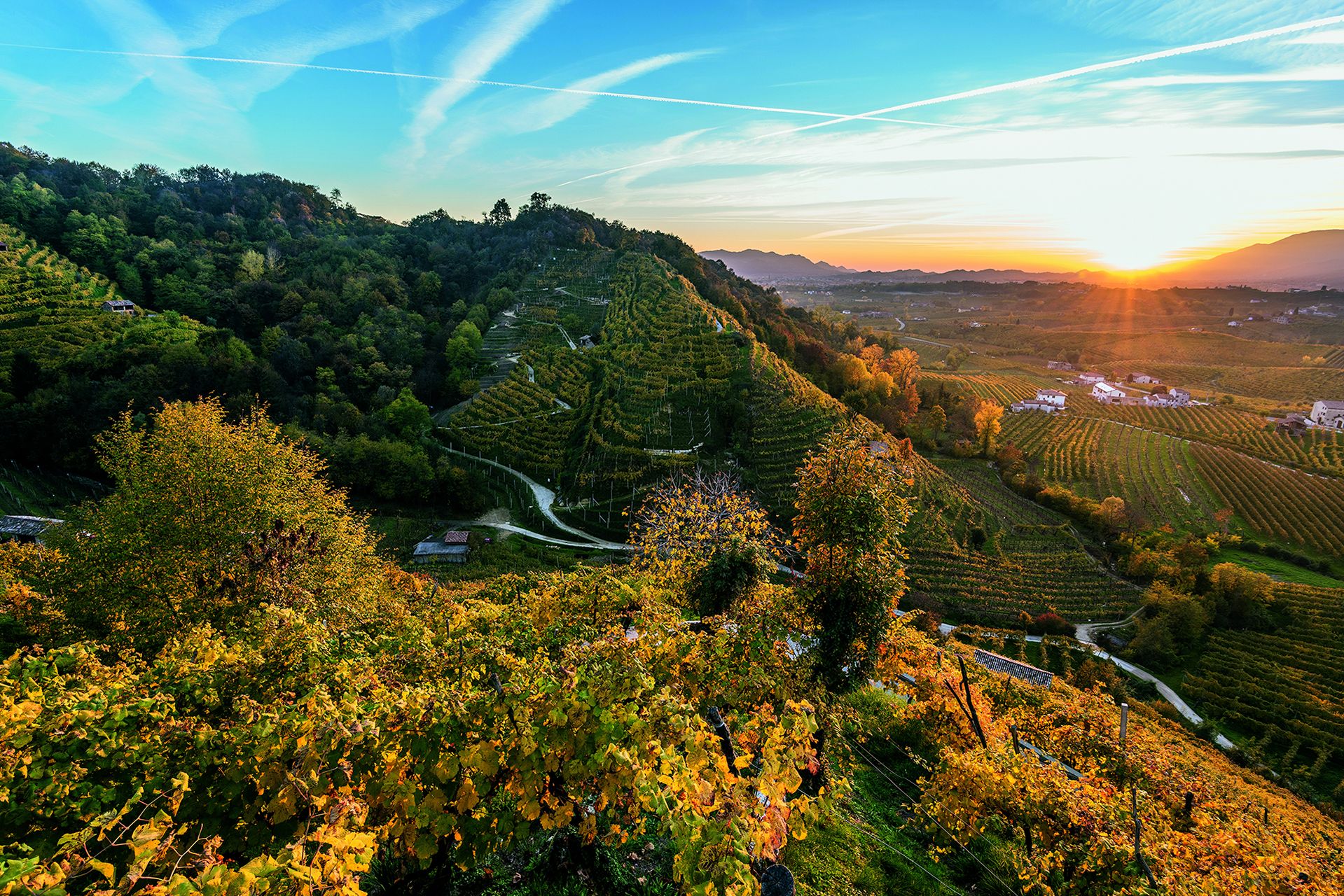 Le Colline del Prosecco di Conegliano e Valdobbiadene