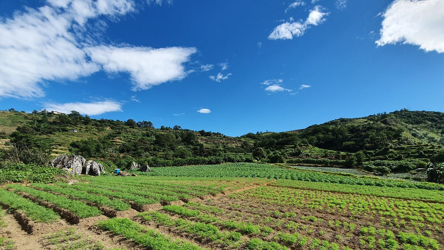 Photo: Sikap Farms