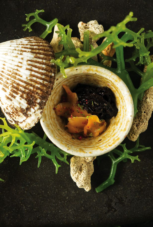 Kilaw na Batotoy (blood clam) with gamet (seaweed from Ilocos)