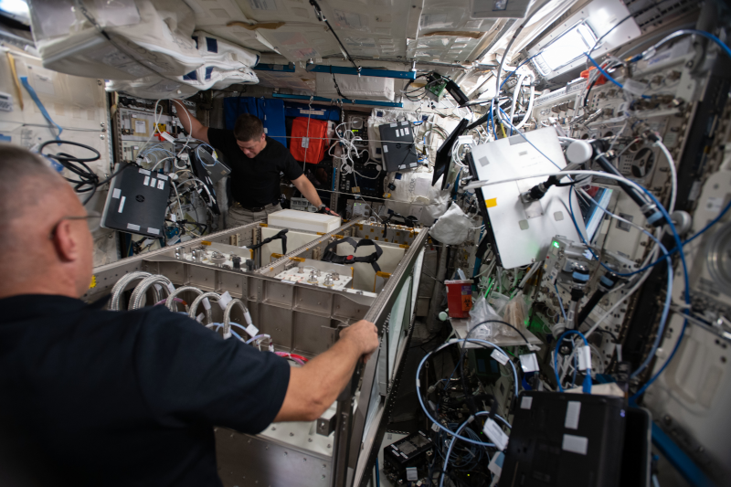 Doug Hurley and Robert Behnken. | Photo: NASA
