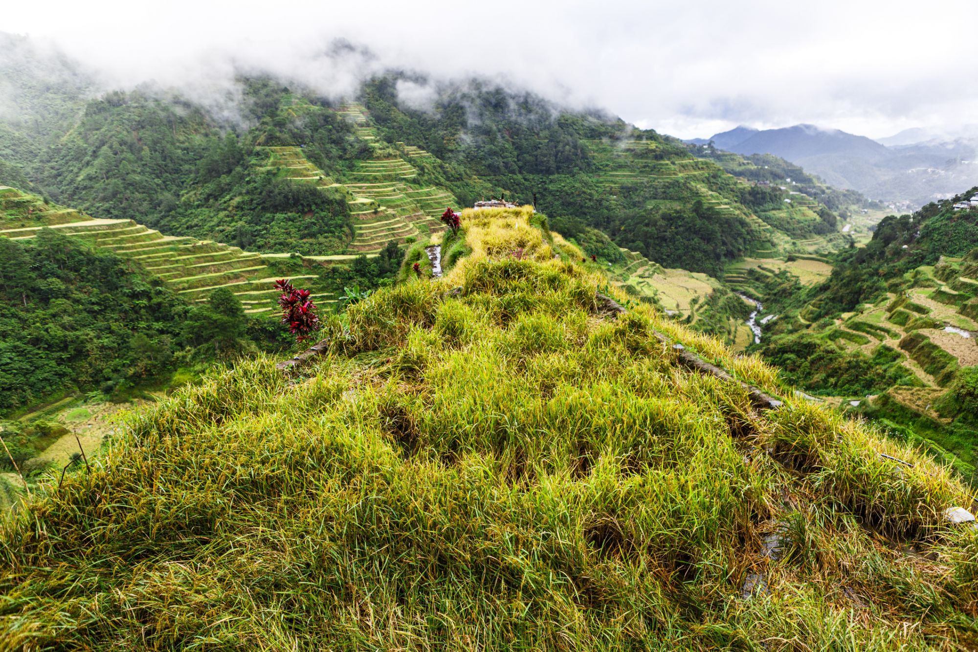 The Batad and Bangaan Rice Terraces situated in Banaue in the Ifugao province, Philippines, are a UNESCO World Heritage Site dating back to around 2000 years ago. The rice paddies are located at 1500 meters above sea level and cover more than 10,000 square kilometres of mountainside.