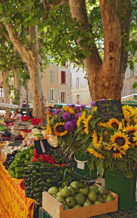 Sunflowers in full bloom at the market in Aix-en-Provence.