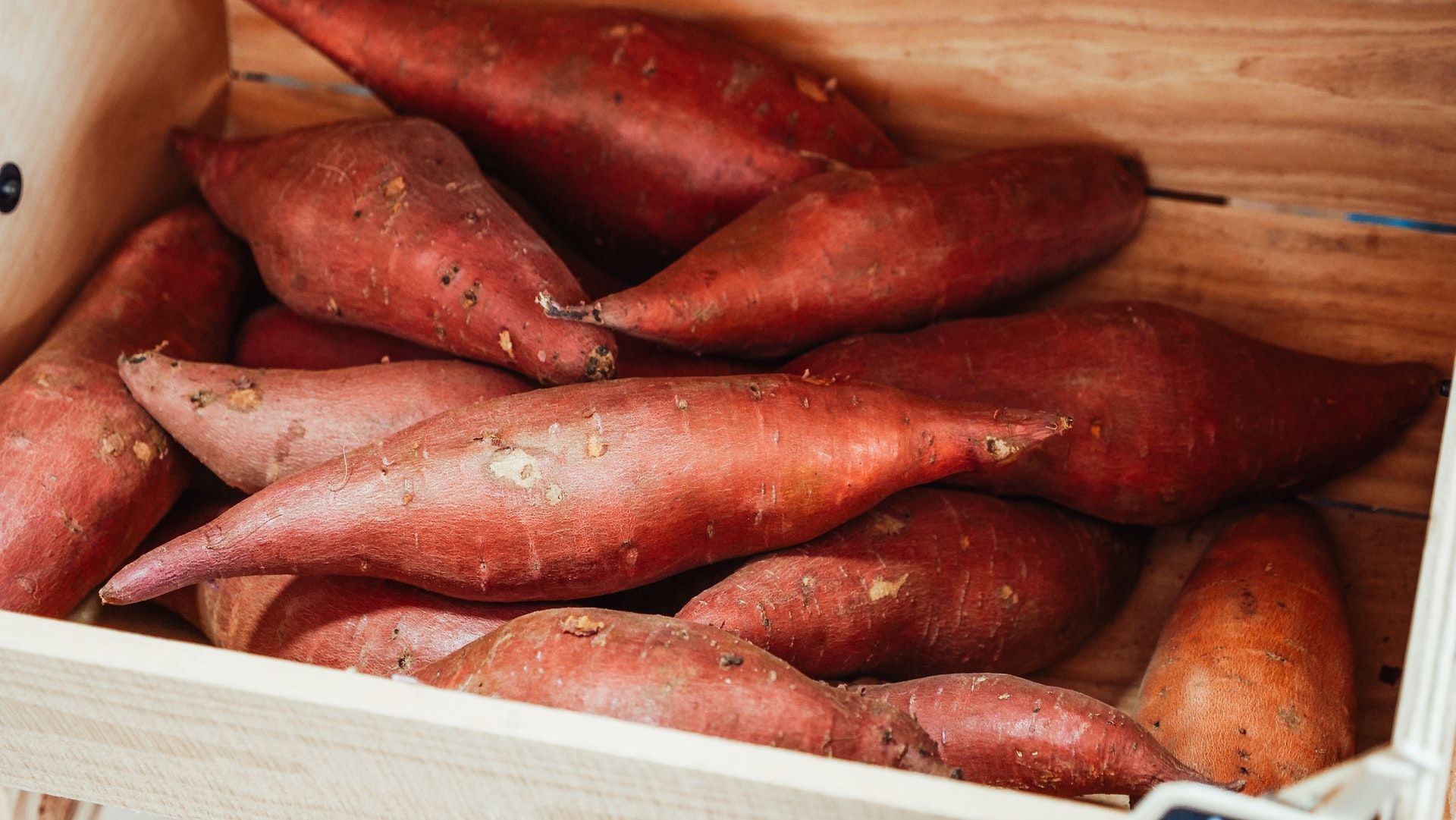 Tatler Foodie Finds Kindel Media