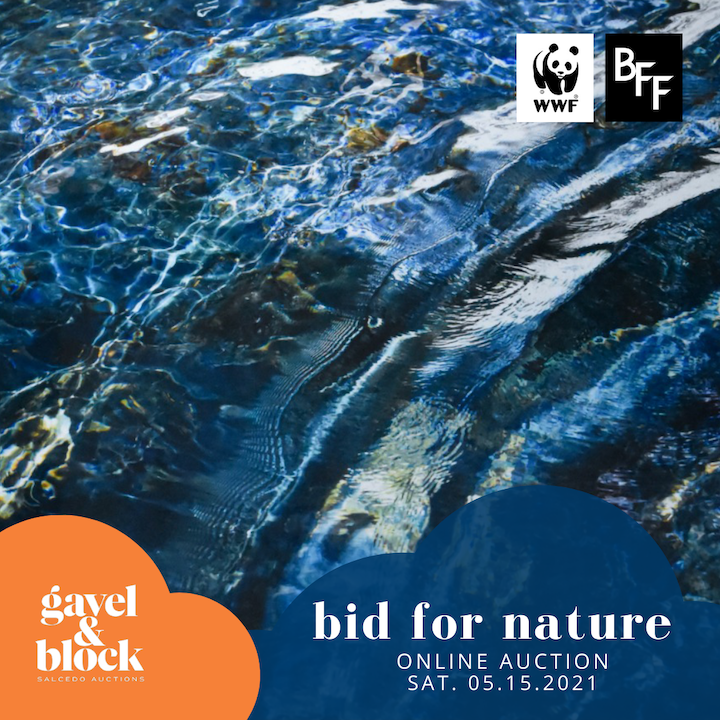 Bid For Nature poster