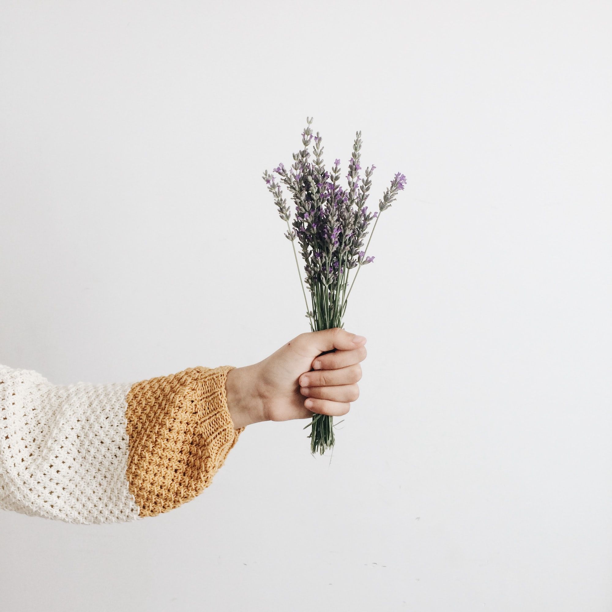 Photo: rocknwool on Unsplash