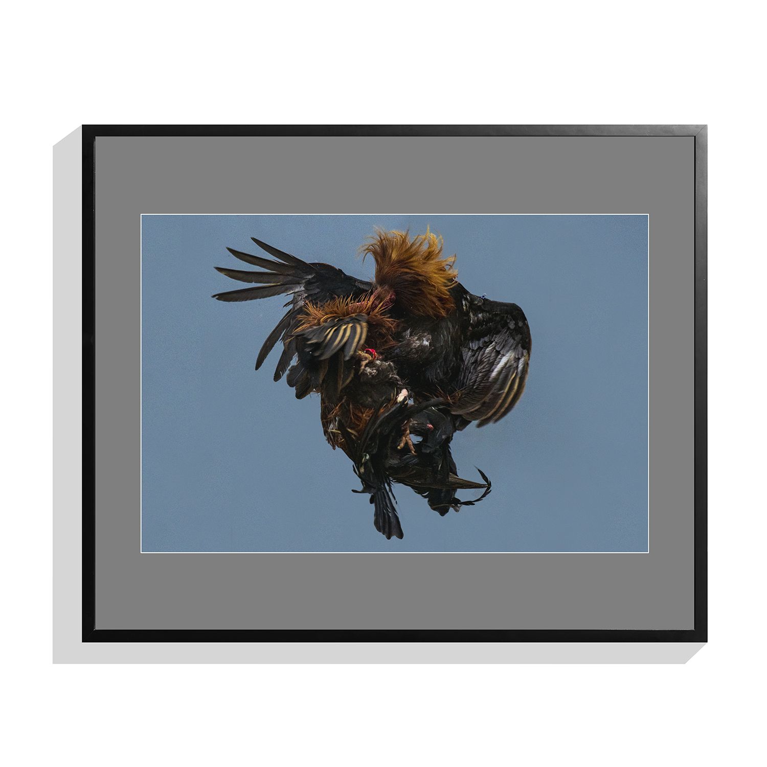 Jes Aznar, Strange Fruit, Photography