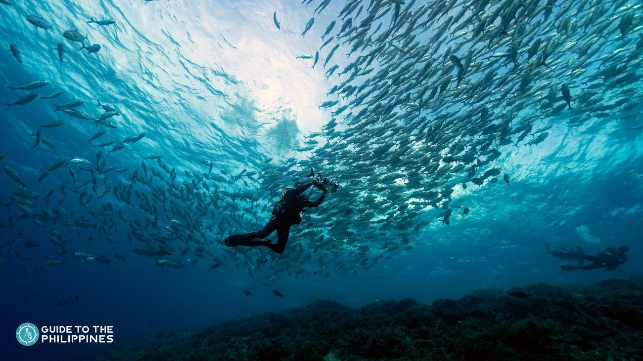 The Tubbataha Reef in El Nido, Palawan | Photo: Guide to the Philippines