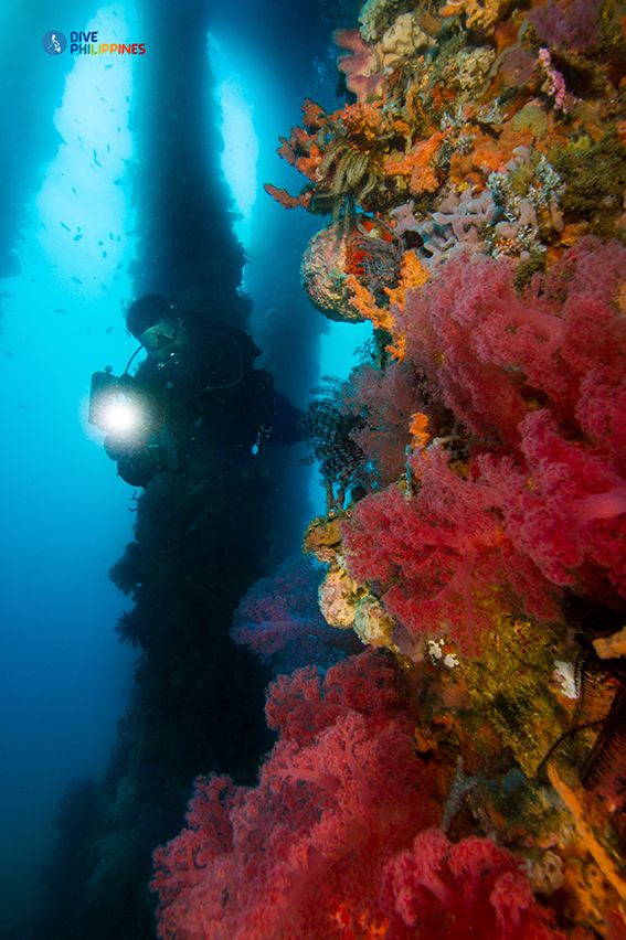 Underwater photographer between Ducomi Pier pillars overgrown with colorful sea fans and soft corals | Photo: Department of Tourism