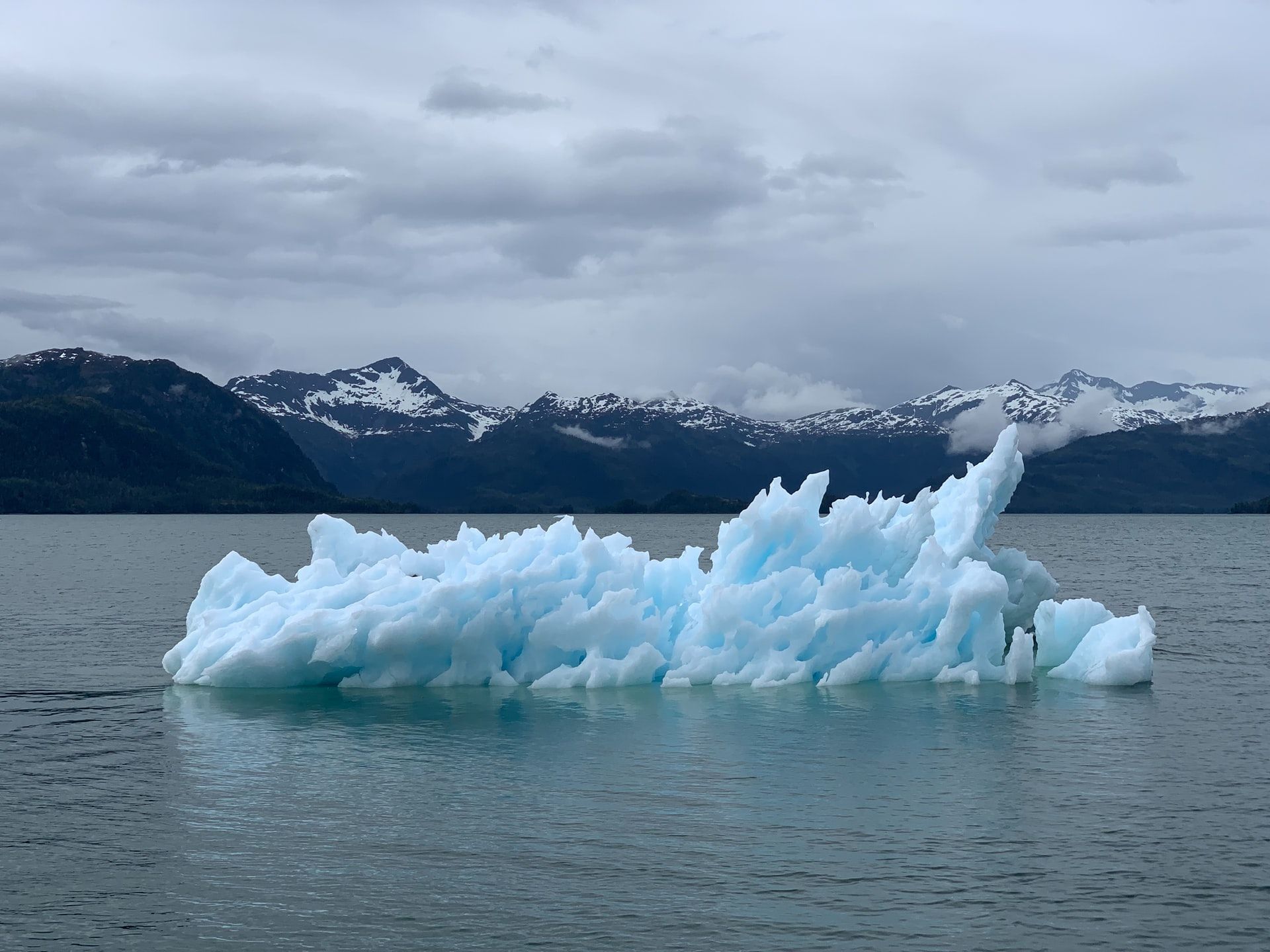 Climate Change | Photo by Melissa Bradley on Unsplash