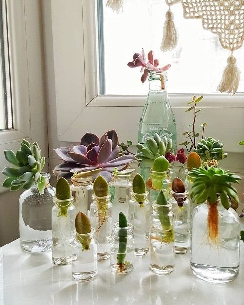 Photo: Pinterest