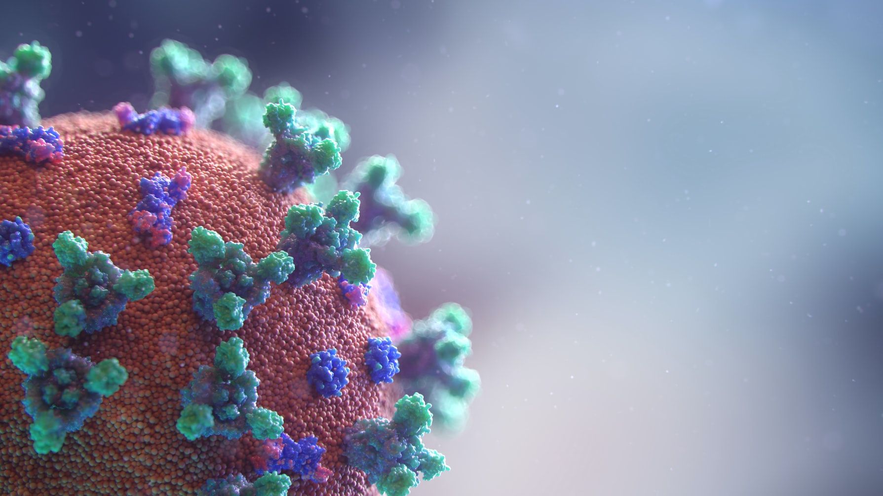 Photo: Fusion Medical Animation on Unsplash
