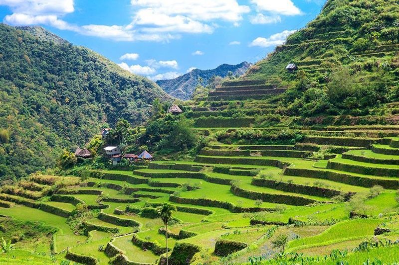 Banaue Rice Terraces (Photo: The Philippine Star)