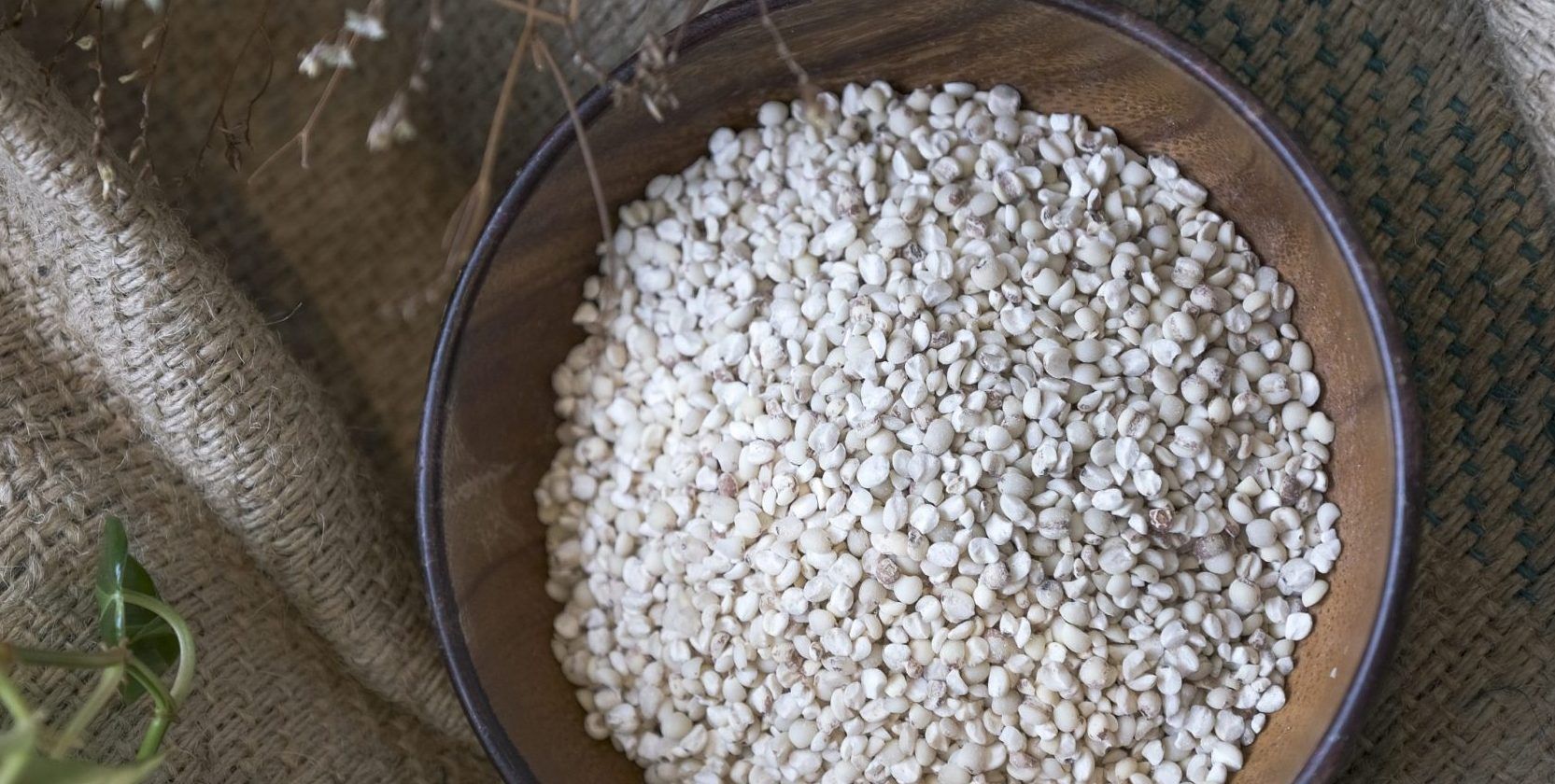 Adlai - a rice alternative grown in many regions across the country.