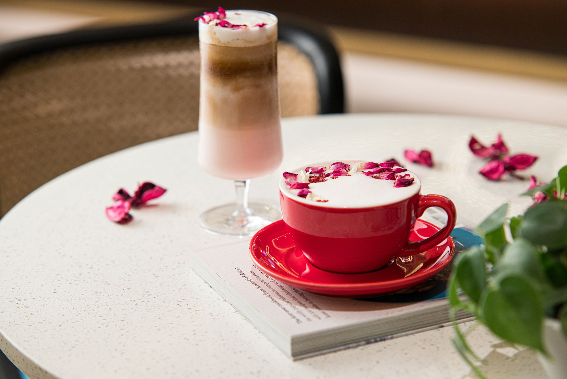 Complete the French experience and pair the fine French fare with crafted beverages.