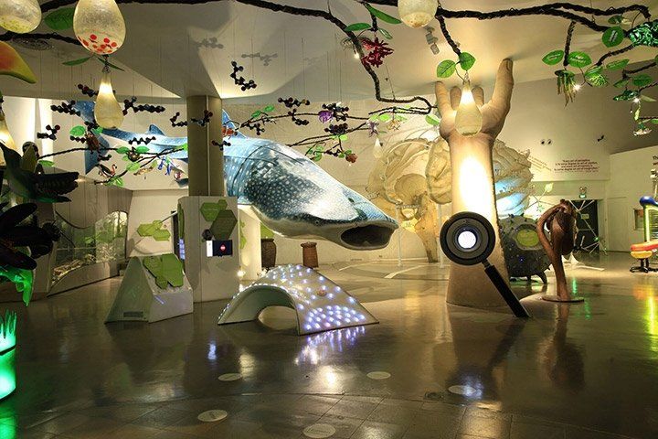 Photo: The Mind Museum Org