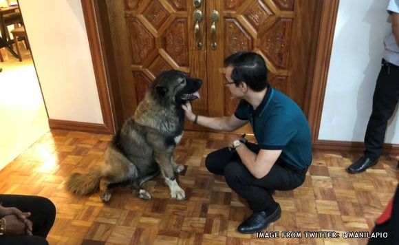 Manila Mayor Isko Moreno brings his dog 'Yorme' to office ┃ Photo: Manila PIO