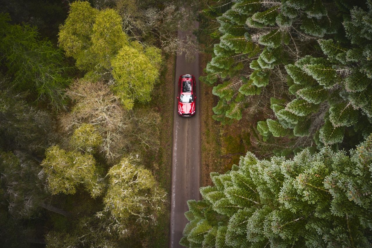 Bentley Motors rolls out.a new hybrid model at The Macallan Estate