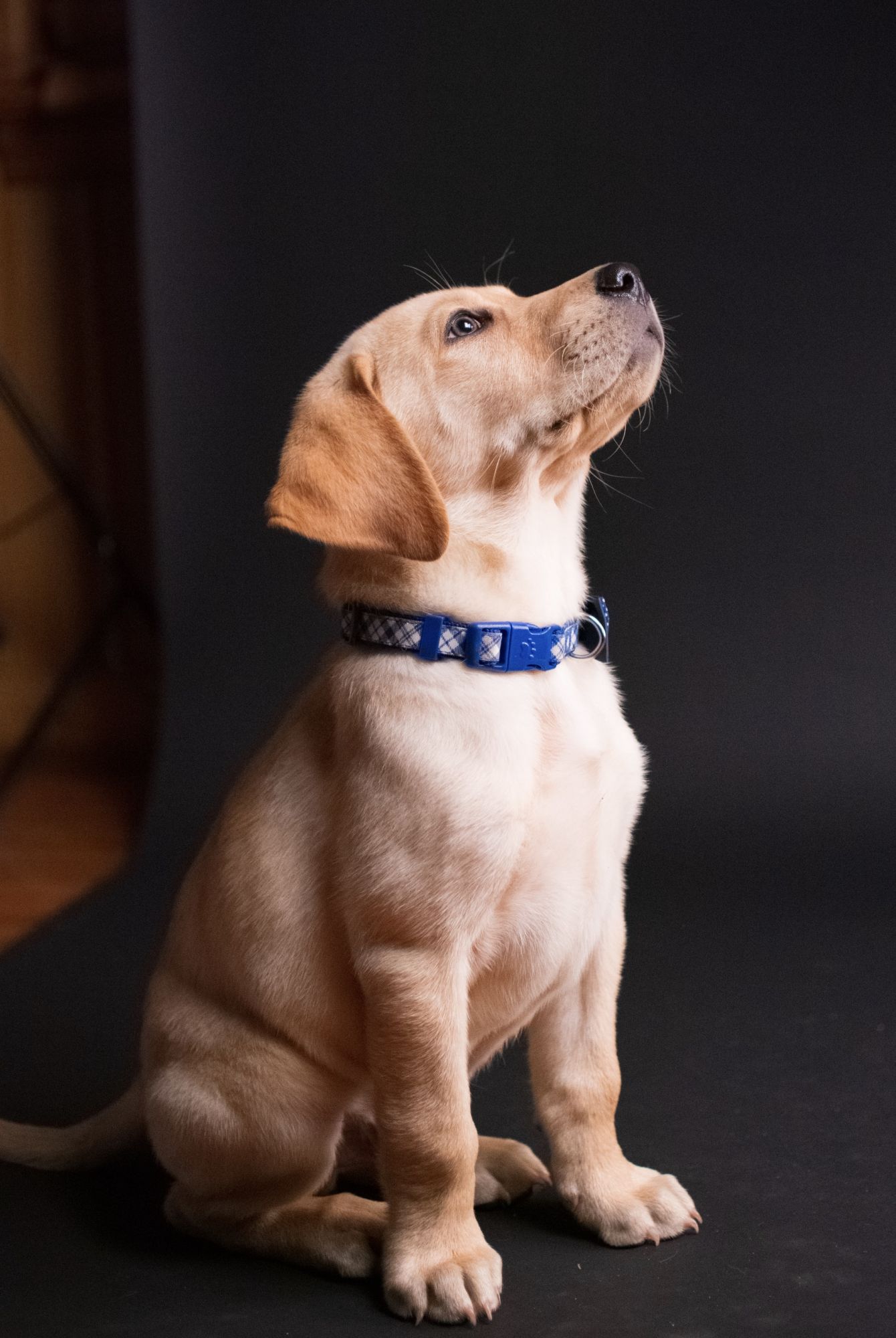 Photo: Taylor Kopel on Unsplash