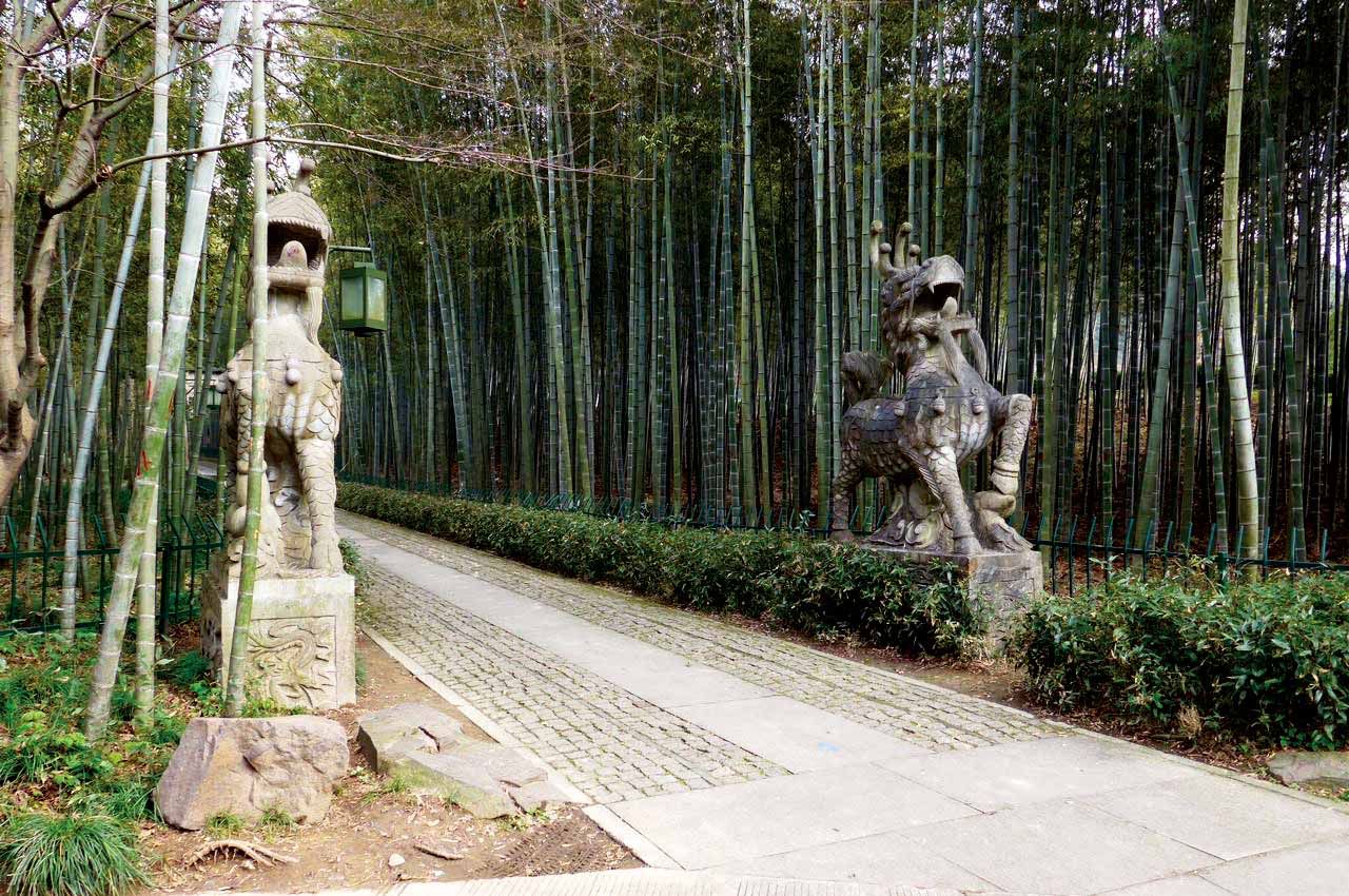 Bamboo-lined path at Yunqi