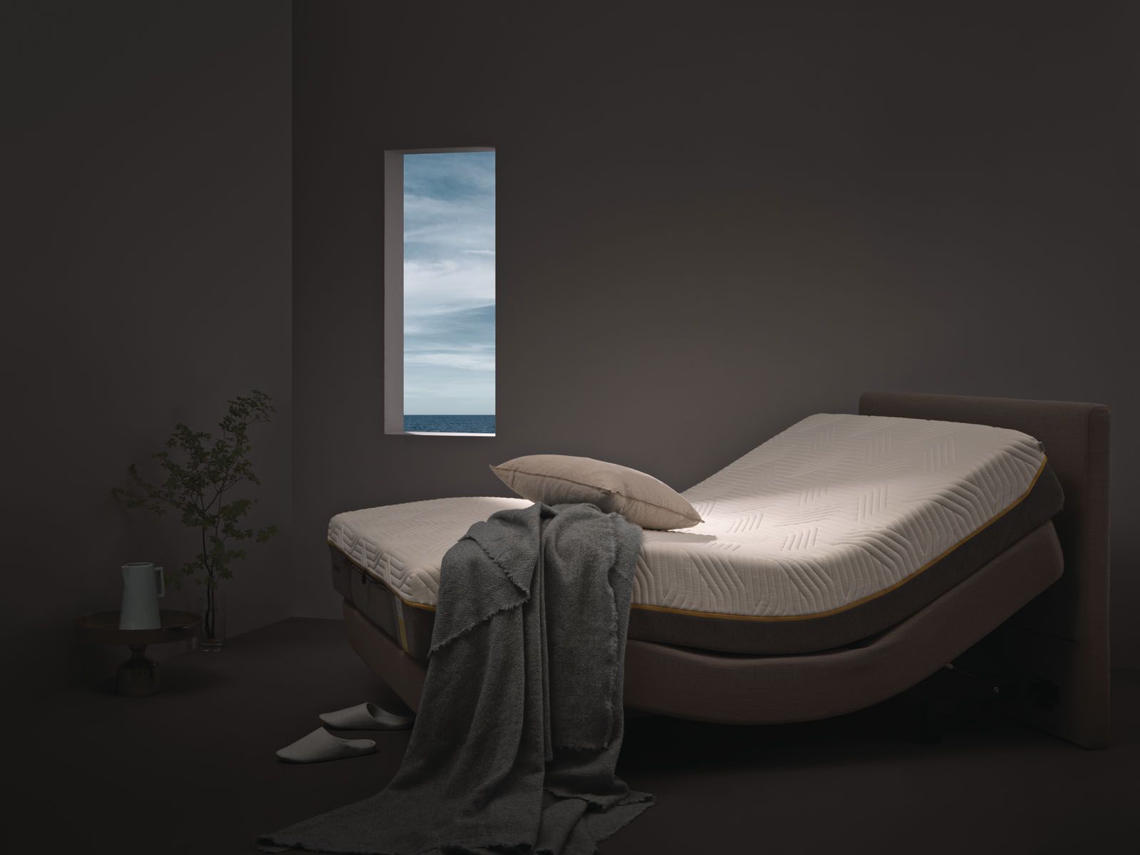 Tempur Zero G