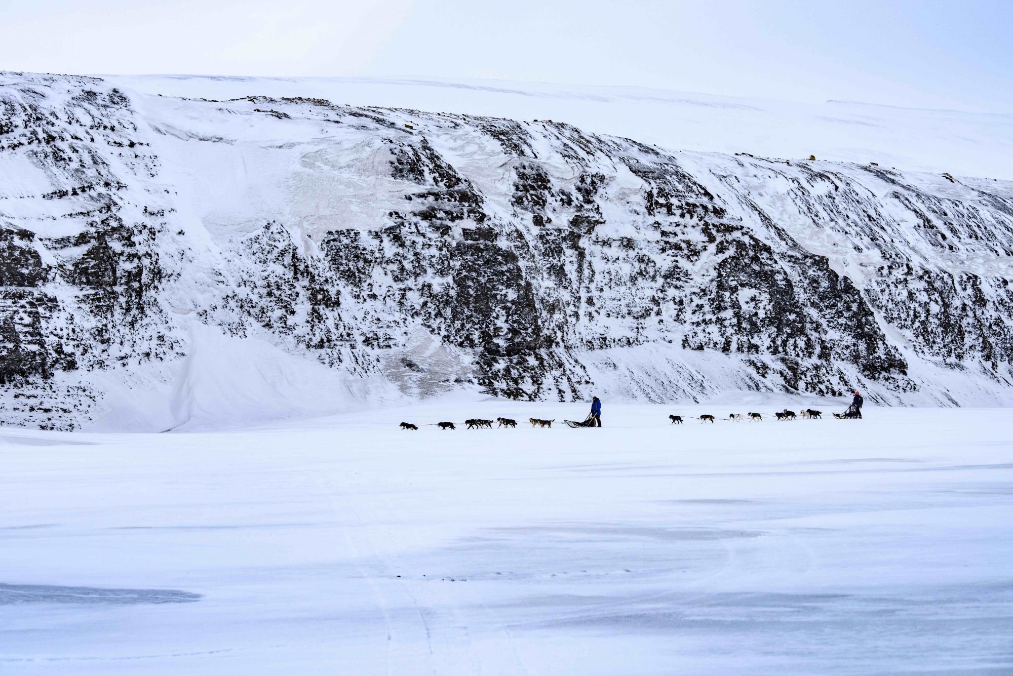 Ice microorganisms on the Greenland ice sheet has an effect on the Earth’s climate, says British polar scientist and 2016 Rolex Awards young laureate