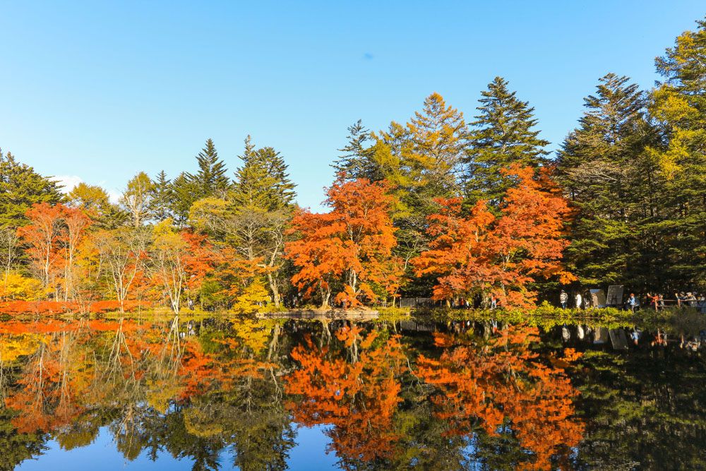 Beautiful Japan autumn at Kumoba Pond or Kumoba ike of Karuizawa ,Nagano Prefecture Japan.