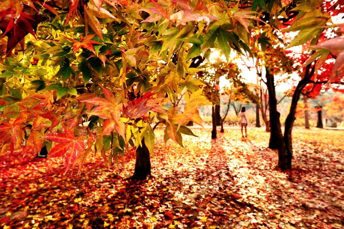 (Image: VisitKorea.or.kr)