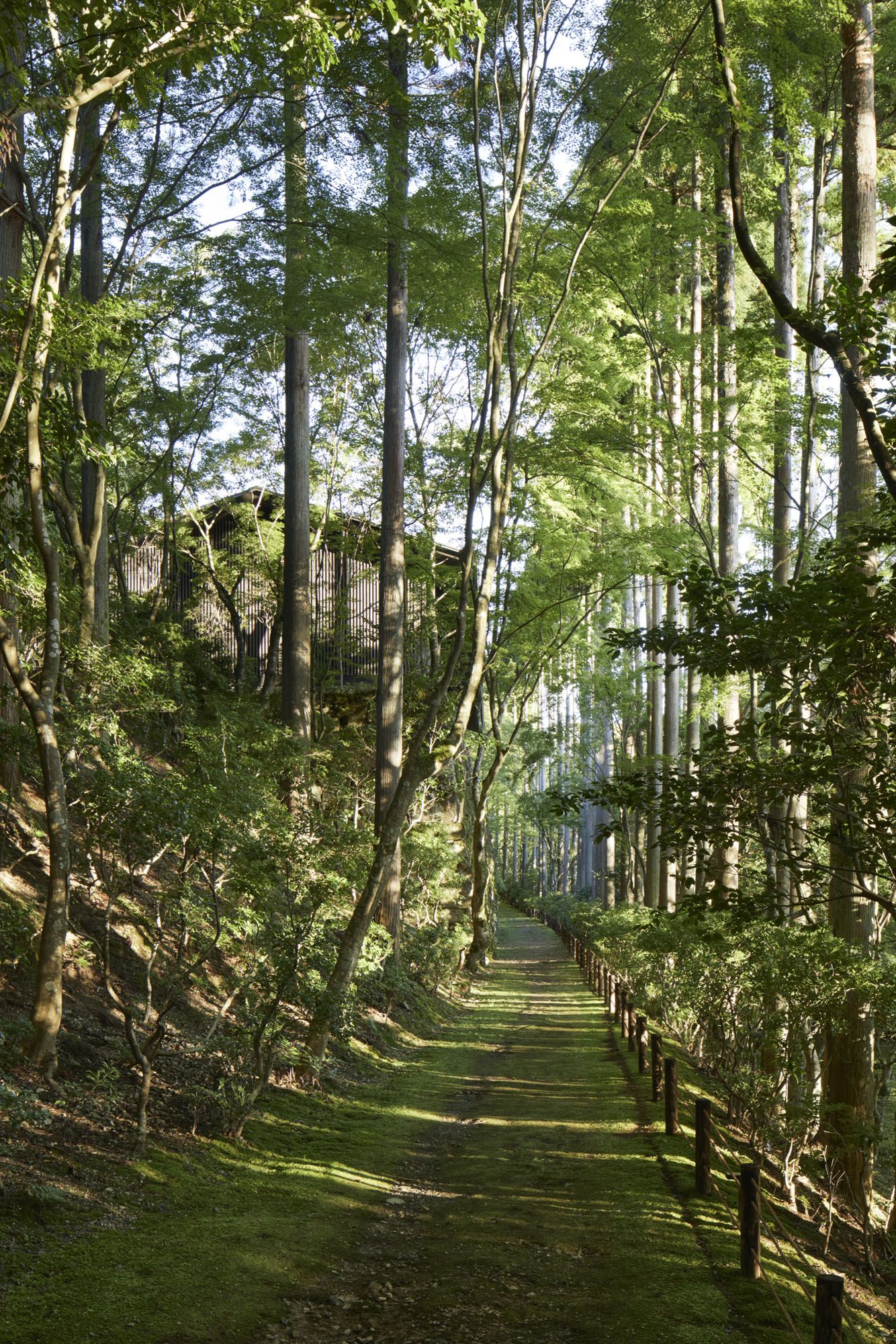 Garden path running under Washigamine Suite.tif