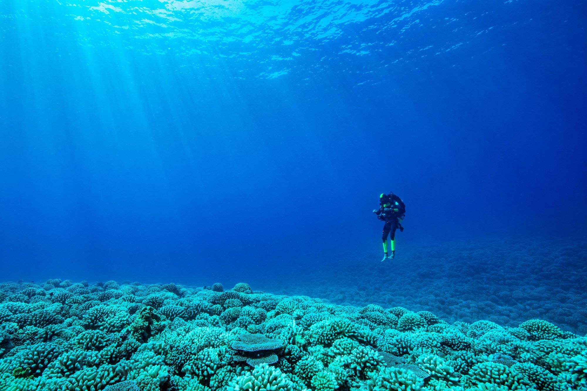 The Under The Pole III polar expedition, supported by Rolex, is exploring marine ecosystems until 2020