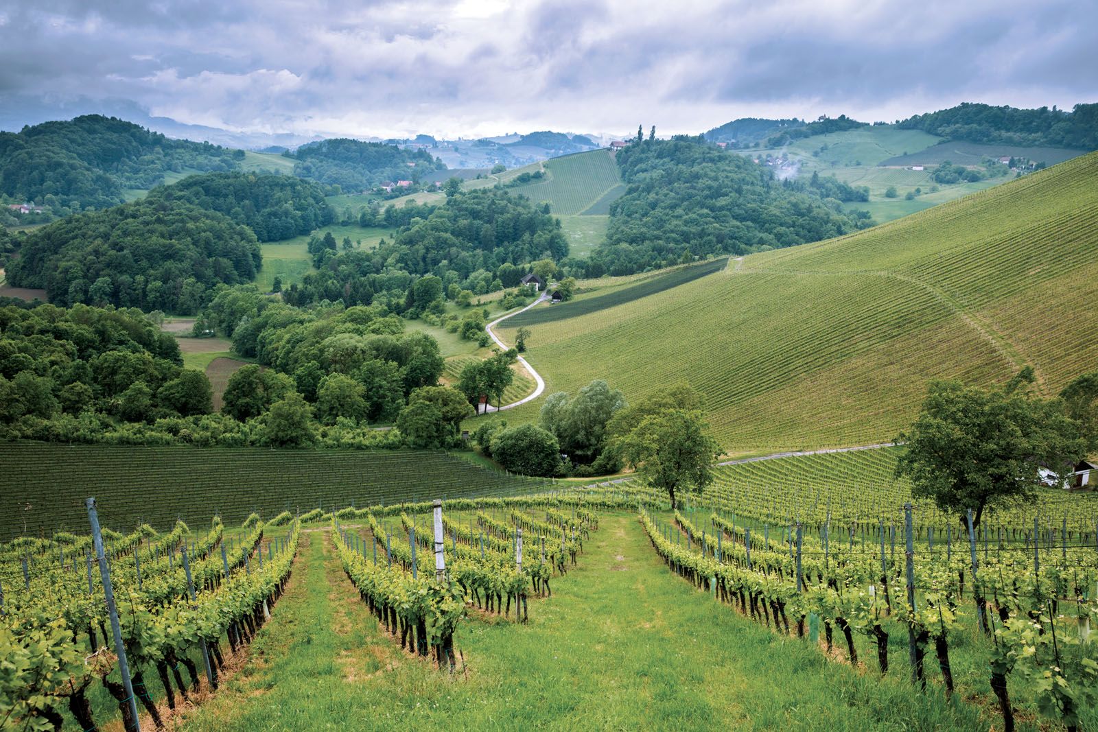 Sweeping landscapes, such as this view from the top of Tement winery’s famed Ried Zieregg single vineyard, are often peppered with reminders of Austria’s historic passion for wine. This particular viewpoint overlooks neighbouring Slovenia, where the family-owned estate has been planting new vineyards to produce its top-class wines