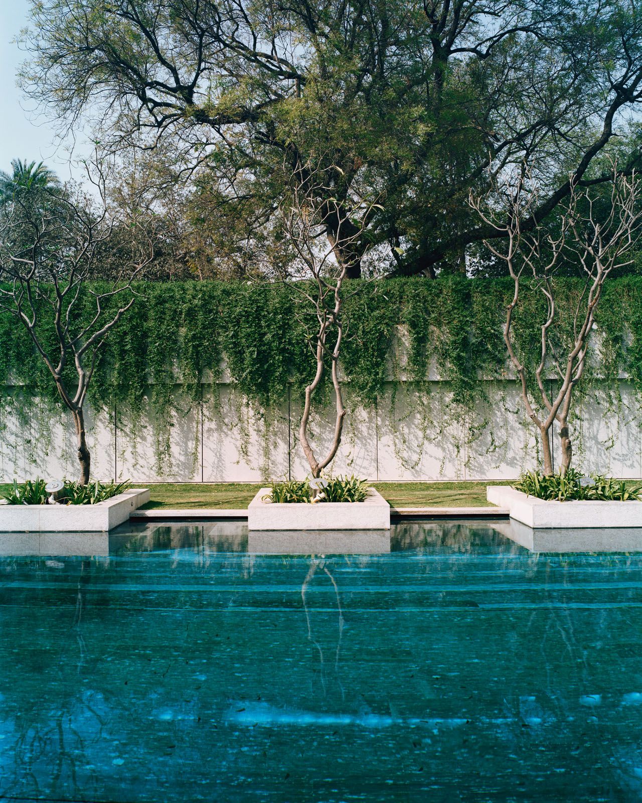 Teal tiles and greenery contribute to the serene atmosphere at the pool