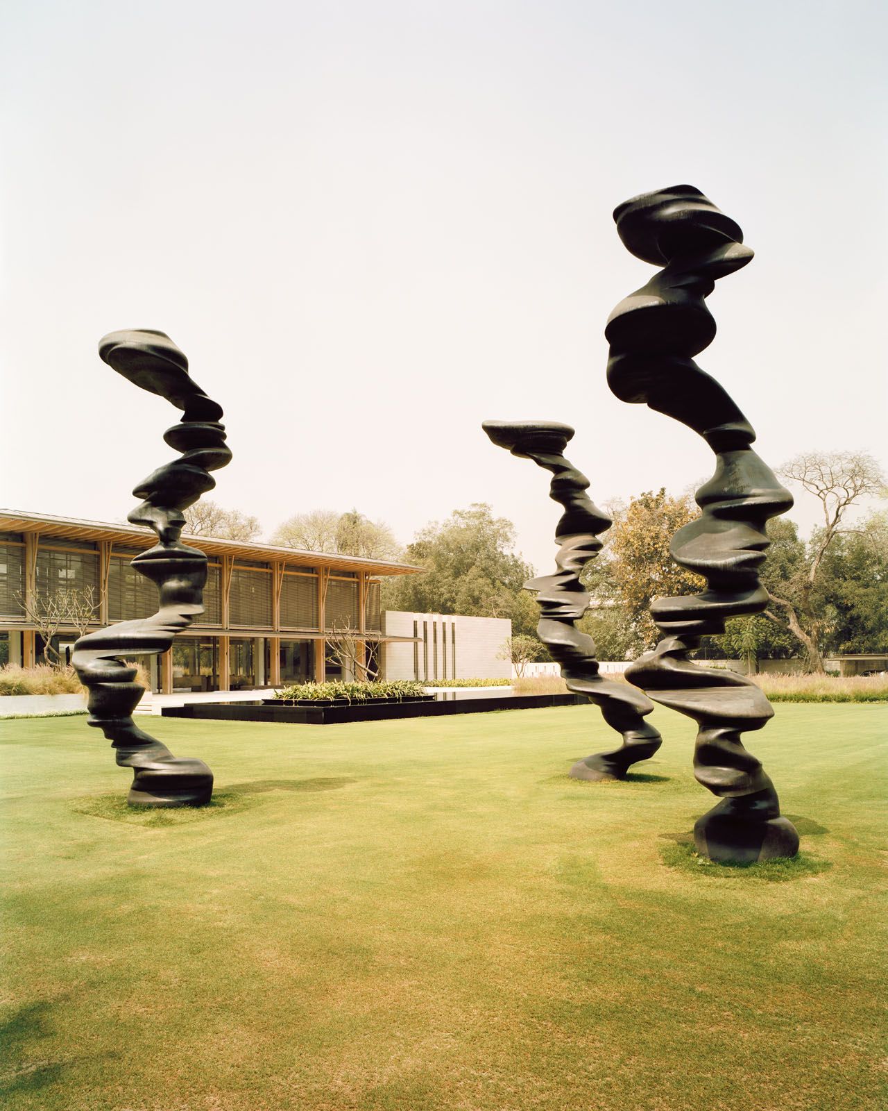 Sculptures on the lawn echo the organic shapes of the trees in the family’s estate