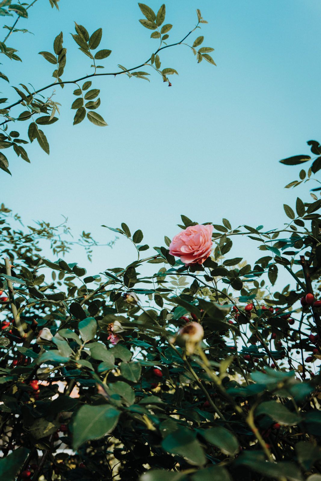 Image: Unsplash