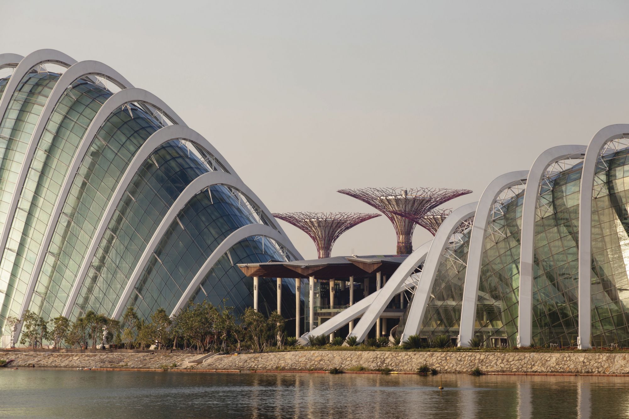 Gardens by the Bay in Singapore.Gardens by the Bay by Grant Associates and Wilkinson Eyre Architects.