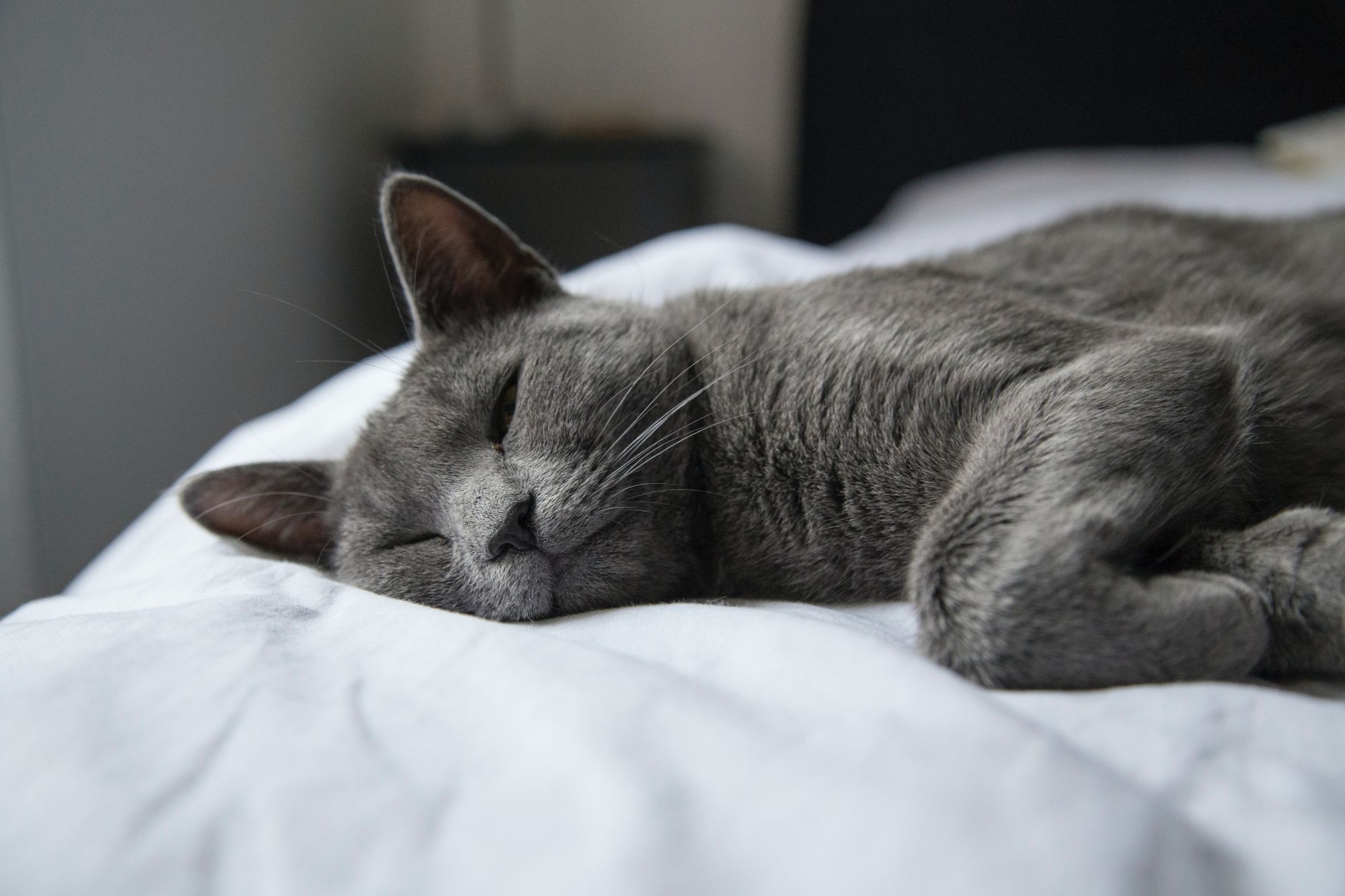 Photo by Milada Vigerova on Unsplash