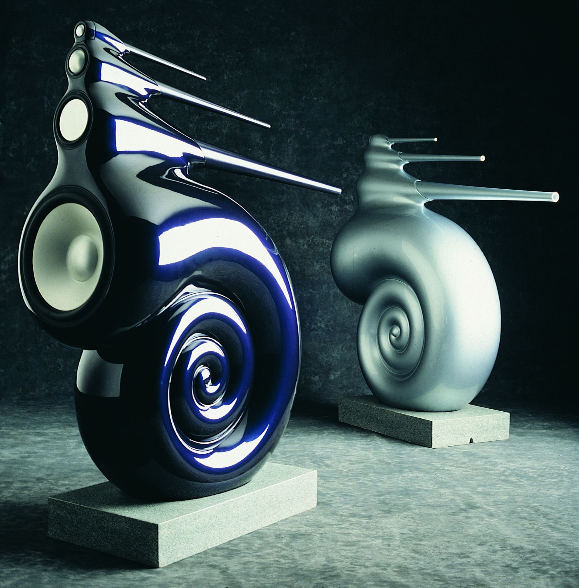 Nautilus Photography