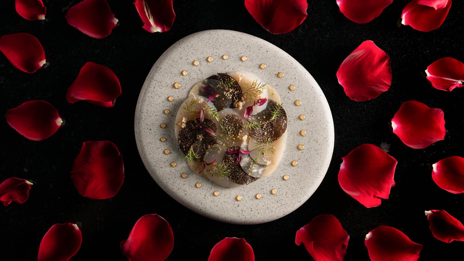 Surreau, celeriac, Hokkaido scallop