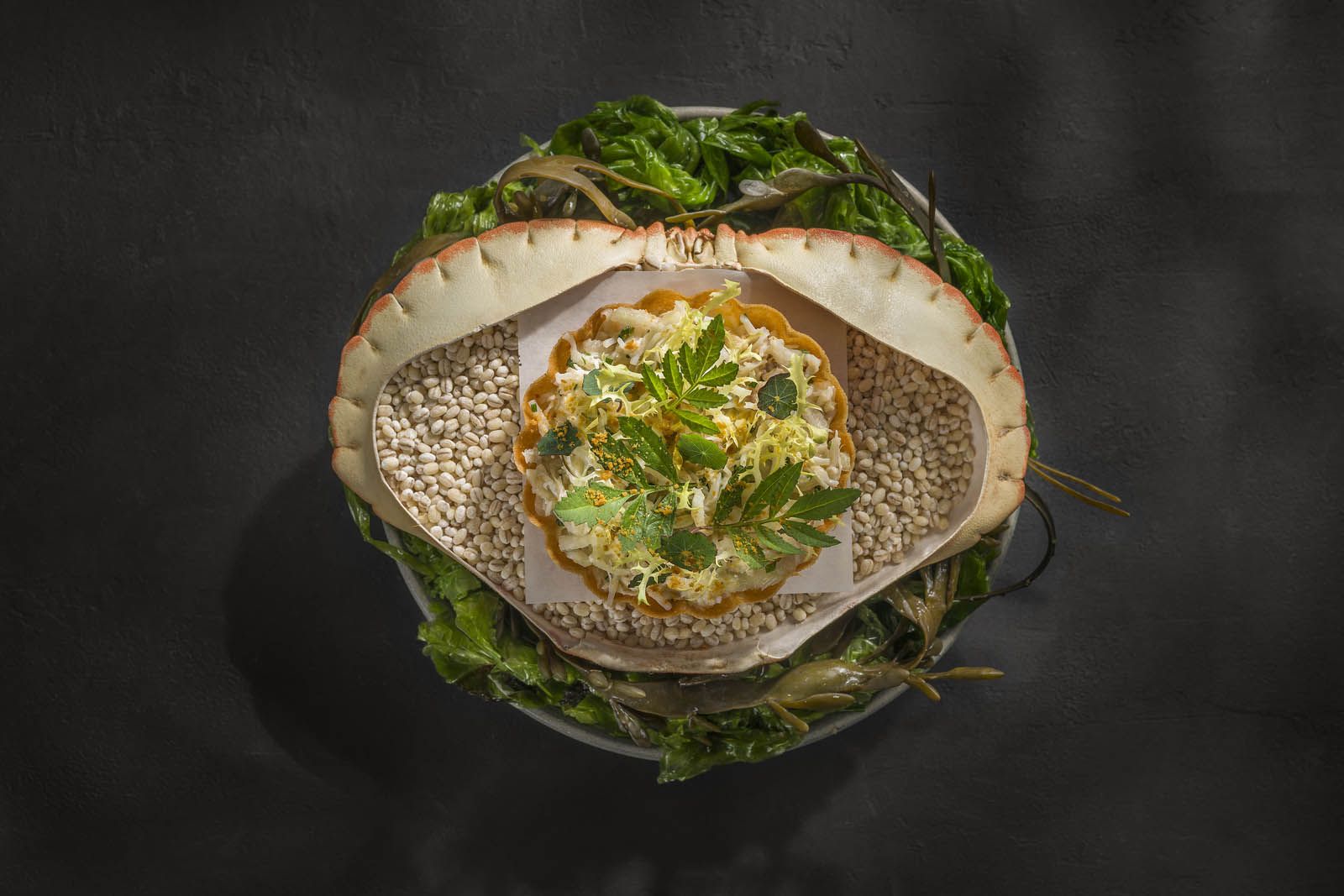Irish brown crab