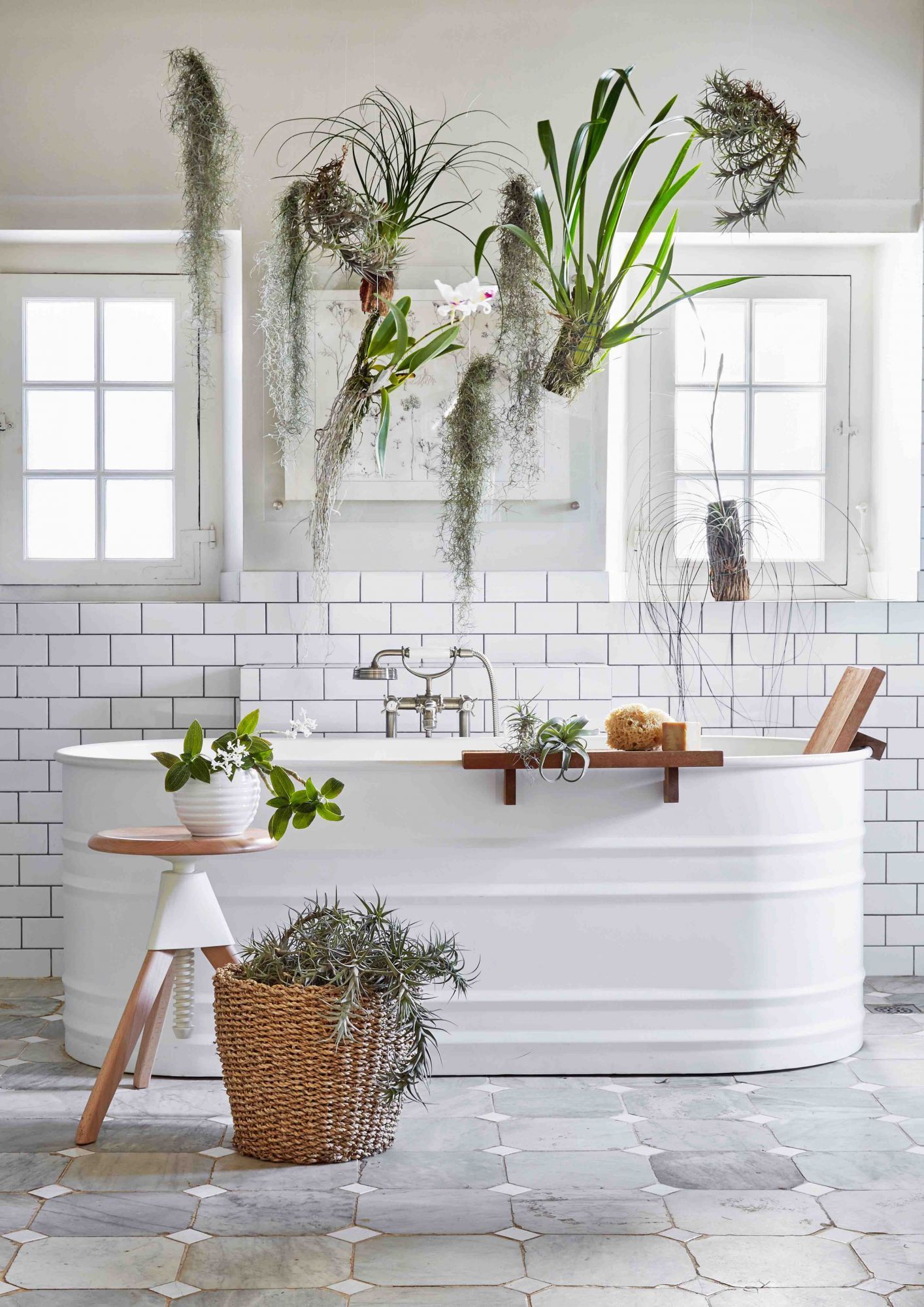 Air plants will benefit greatly in the bathroom, as seen in this room curated by Marissa Pretorius of Opus Studio