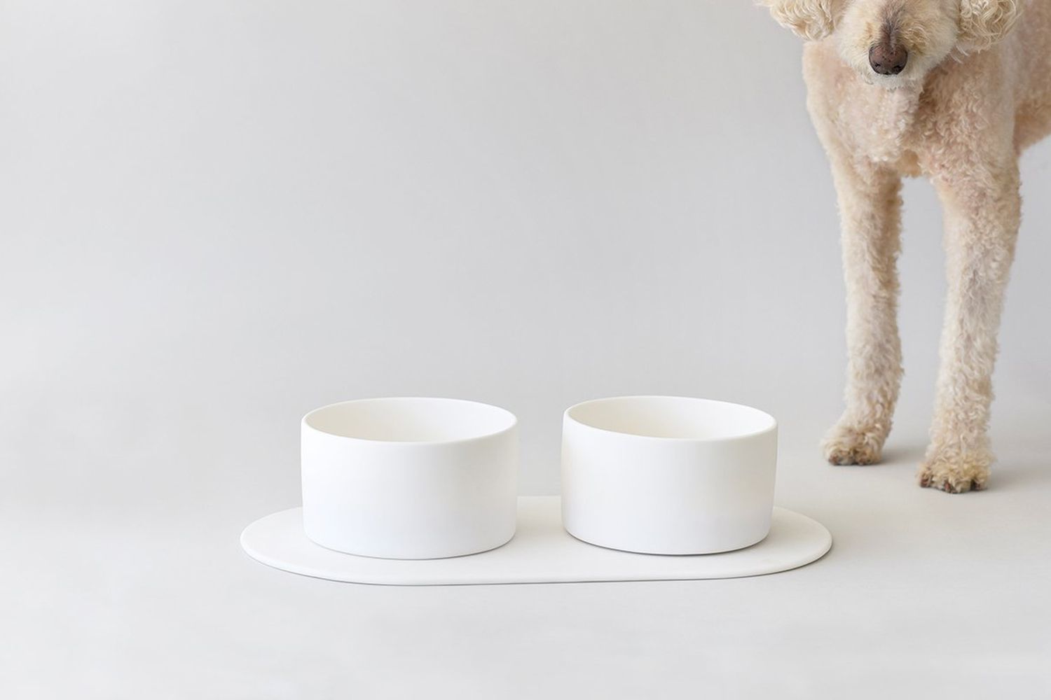 White Large Pet Placemat by Tina Frey, from SSENSE