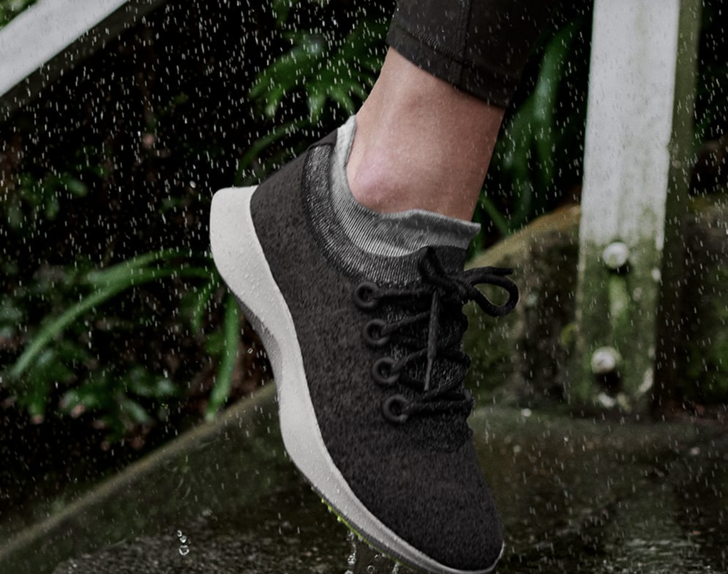 allbirds leather