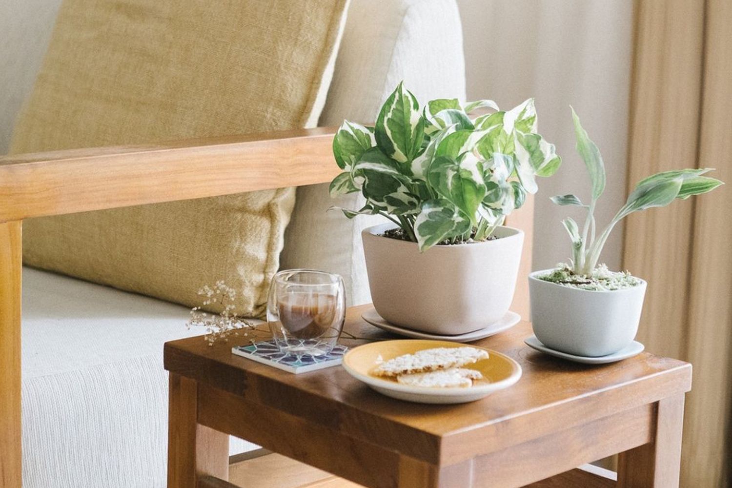 Houseplants can help create a tranquil ambience at home (Image: Potta Plantta)