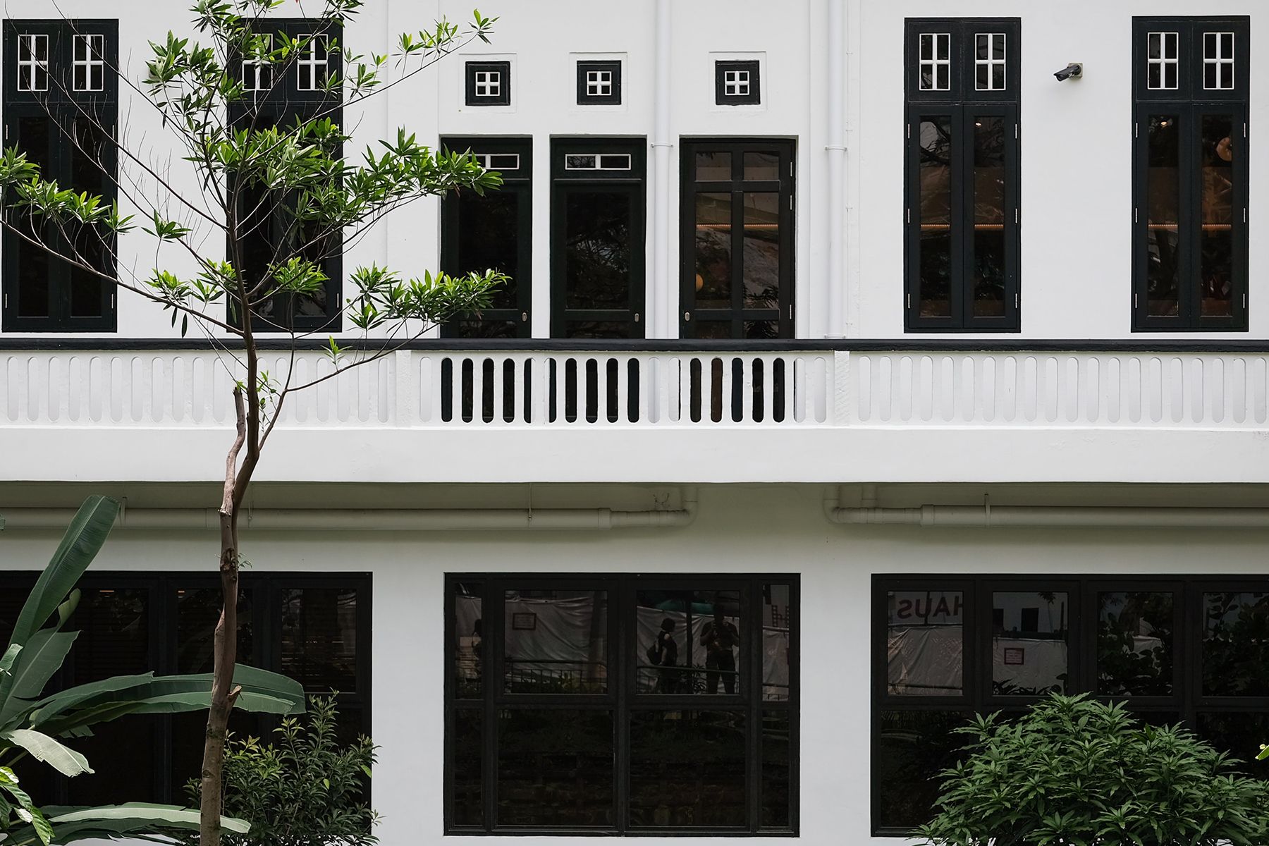 Black and White houses