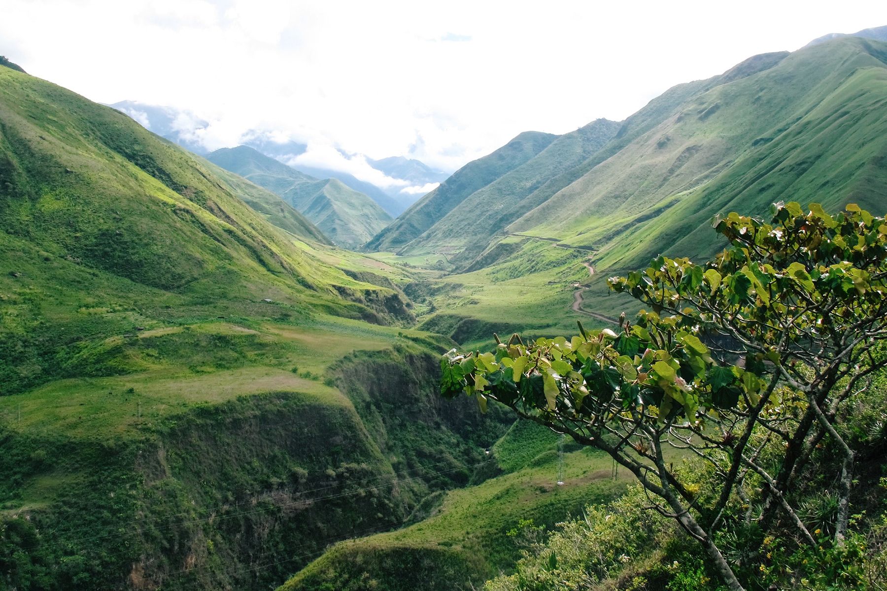 Ecuador