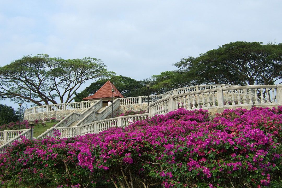 Telok Blangah Hill Park (Image: NParks)