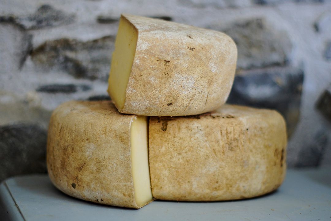 Monterey Jack (Image: Unsplash)