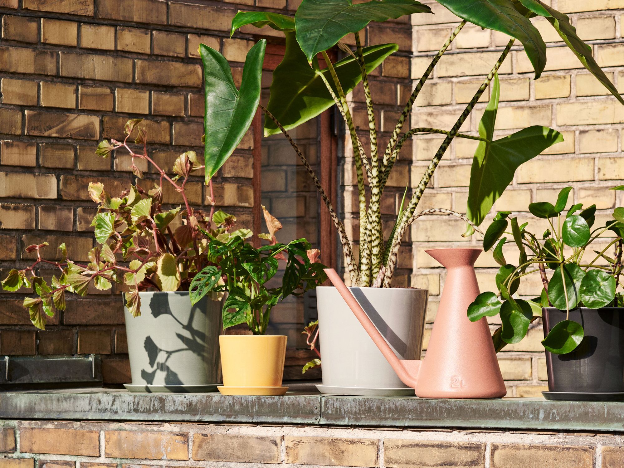 Hay Botanical Family pots, from Grafunkt