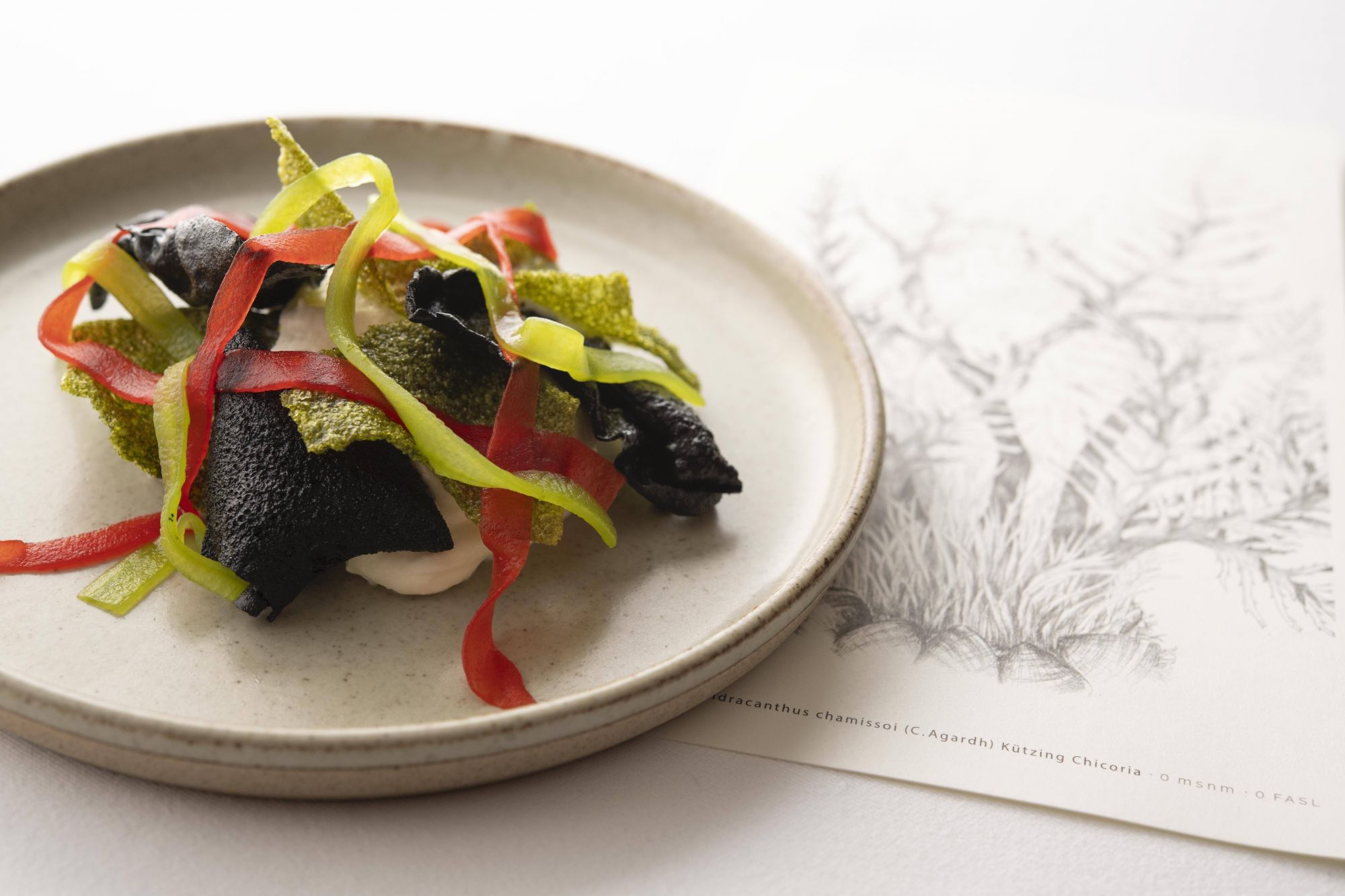 Preview of new dishes for Maz