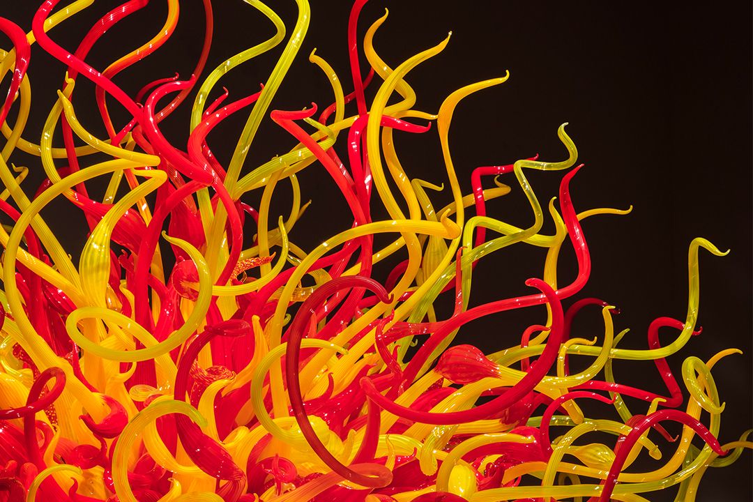 Dale Chihuly Setting Sun (detail), 2020 (Image: © Chihuly Studio. All Rights Reserved.)