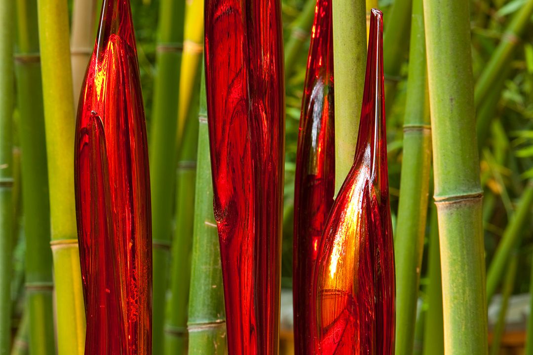 Dale Chihuly Silvered Red Bamboo (detail), 2008 Cheekwood Botanical Garden and Museum of Art, Nashville, installed 2010 (Image: © Chihuly Studio. All Rights Reserved.)